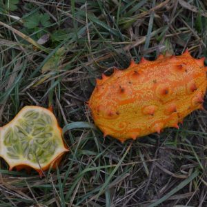 Kiwano